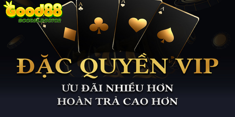 Chế độ VIP với nhiều quyền lợi hấp dẫn chỉ có tại nhà cái